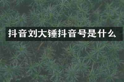抖音刘大锤抖音号是什么