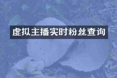 虚拟主播实时粉丝查询
