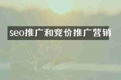seo推广和竞价推广营销