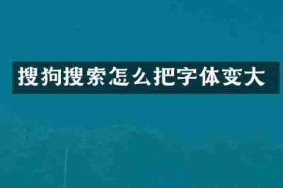 搜狗搜索怎么把字体变大