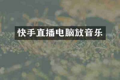 快手直播电脑放音乐