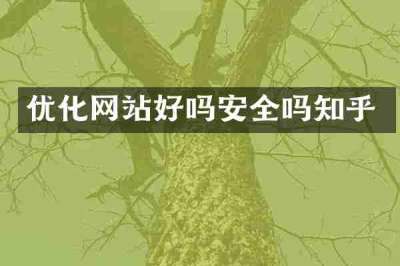 优化网站好吗安全吗知乎