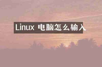 Linux 电脑怎么输入