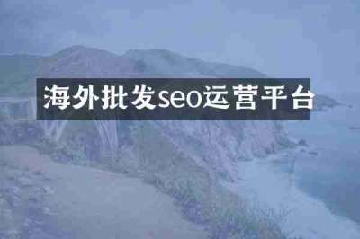 海外批发seo运营平台