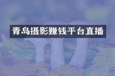 青岛摄影赚钱平台直播