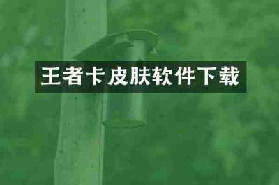 王者卡皮肤软件下载