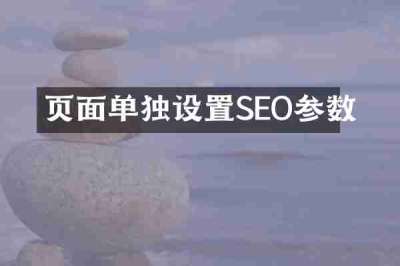 页面单独设置SEO参数