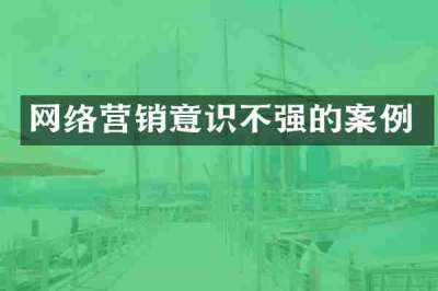 网络营销意识不强的案例