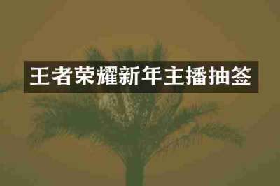 王者荣耀新年主播抽签