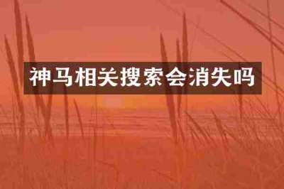 神马相关搜索会消失吗