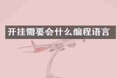 开挂需要会什么编程语言