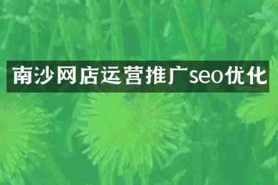 南沙网店运营推广seo优化