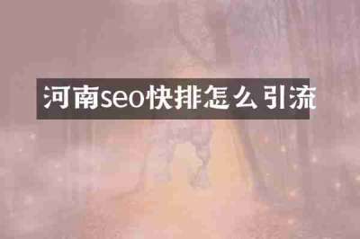 河南seo快排怎么引流