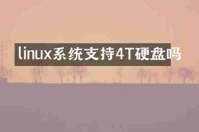 linux系统支持4T硬盘吗