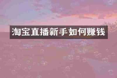 淘宝直播新手如何赚钱