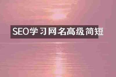 SEO学习网名高级简短