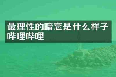 最理性的暗恋是什么样子哔哩哔哩