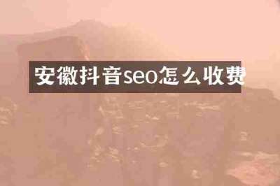 安徽抖音seo怎么收费