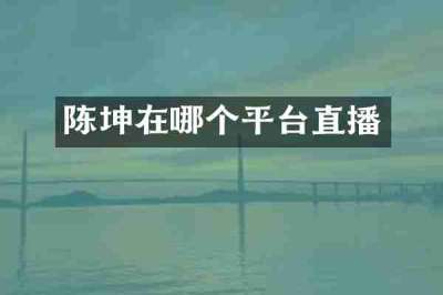 陈坤在哪个平台直播