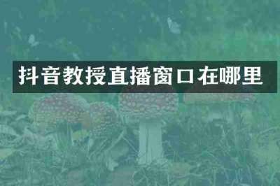 抖音教授直播窗口在哪里
