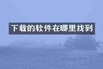 下载的软件在哪里找到