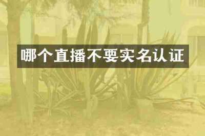 哪个直播不要实名认证