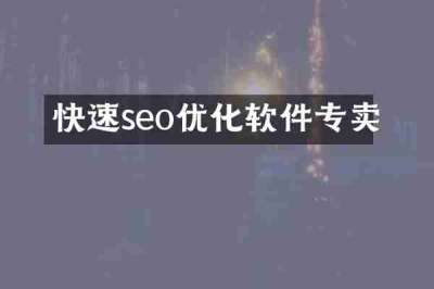 快速seo优化软件专卖