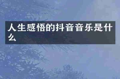 人生感悟的抖音音乐是什么