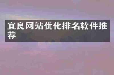 宜良网站优化排名软件推荐