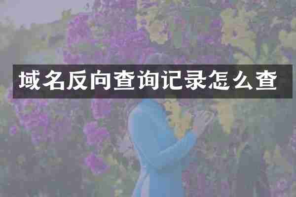 域名反向查询记录怎么查