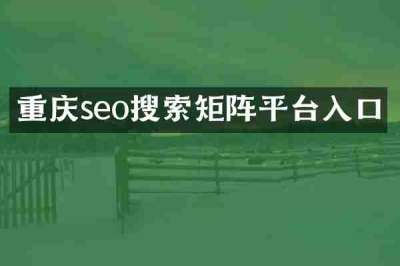 重庆seo搜索矩阵平台入口