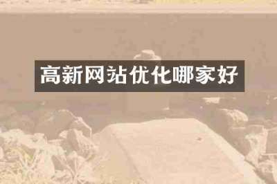 高新网站优化哪家好