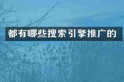 都有哪些搜索引擎推广的
