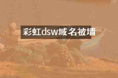 彩虹dsw域名被墙