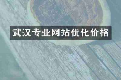 武汉专业网站优化价格