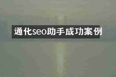通化seo助手成功案例