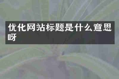 优化网站标题是什么意思呀