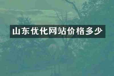 山东优化网站价格多少