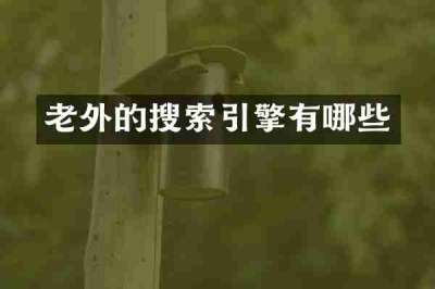 老外的搜索引擎有哪些