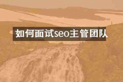 如何面试seo主管团队