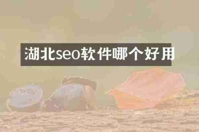 湖北seo软件哪个好用