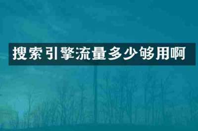 搜索引擎流量多少够用啊