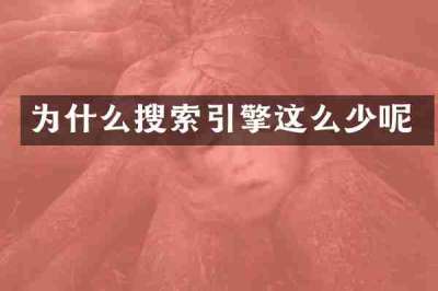 为什么搜索引擎这么少呢