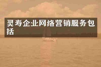 灵寿企业网络营销服务包括