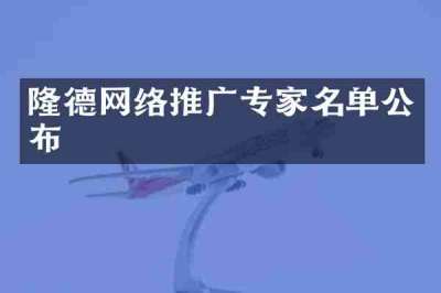 隆德网络推广专家名单公布