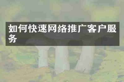 如何快速网络推广客户服务