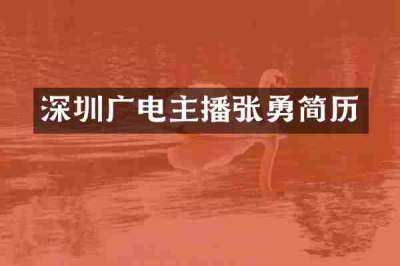 深圳广电主播张勇简历