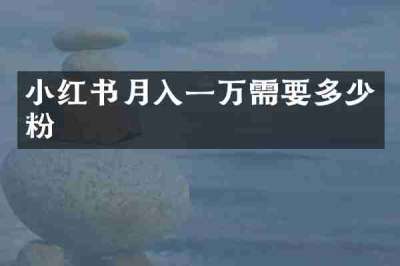 小红书月入一万需要多少粉