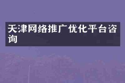 天津网络推广优化平台咨询