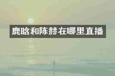 鹿晗和陈赫在哪里直播